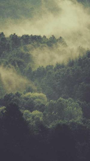 免费seo在线工具截图2