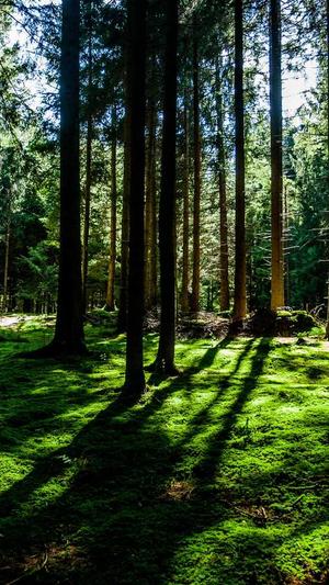 seo优化工具下载截图3