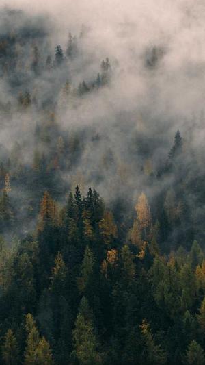 seo关键词分析工具知乎截图3