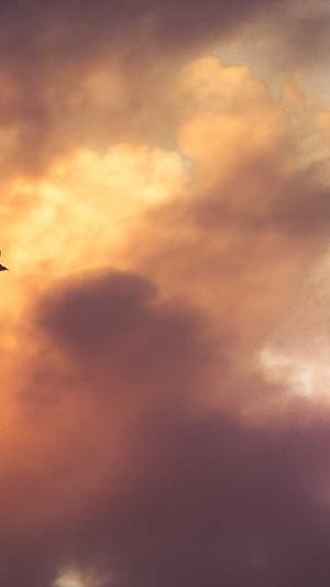 佛山美容院网站建设截图4