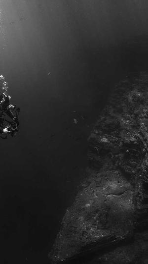 蜘蛛矿池app截图4