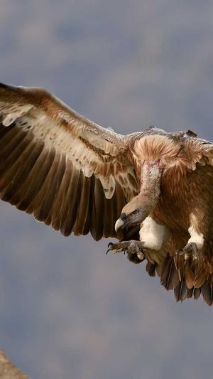 建设银行官方网站截图2