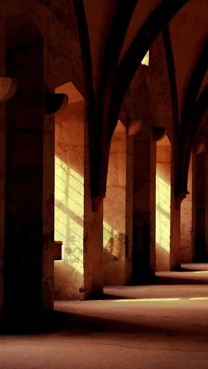 seo关键字工具 sit截图3