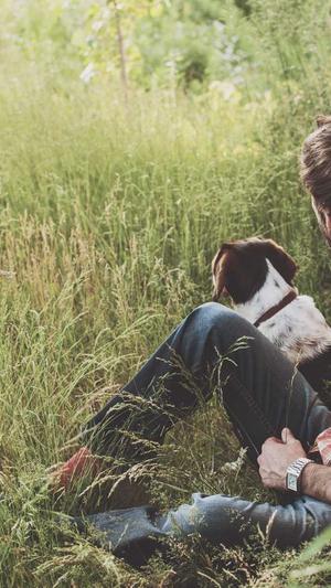 蜘蛛池程序源书籍截图3