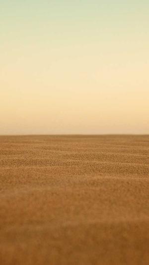 零距离泛目录程序截图2