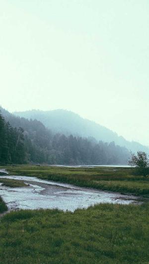 seo站长工具推广平台截图4