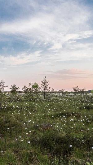 蜘蛛池还能做吗截图1