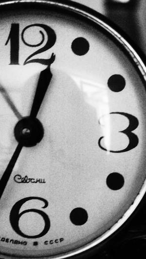 10万蜘蛛池截图2