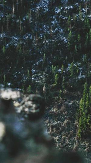 网站建设哪家好截图2