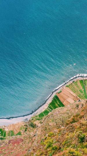 SEO优化工具软件截图2