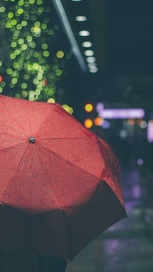 seo排名点击软件截图1