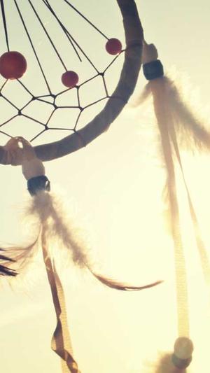 怎么做百度收录泛目录截图2