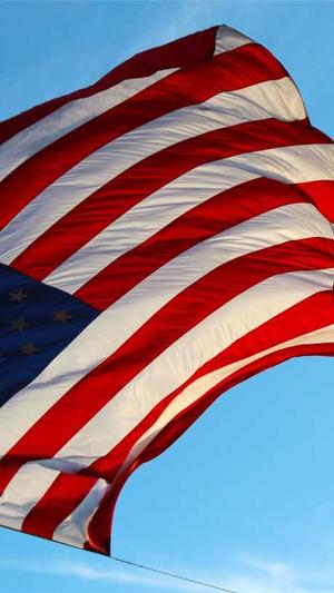 泛目录如何处理引流截图4