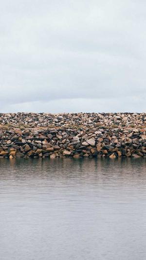 搜狗蜘蛛池如何建立截图1