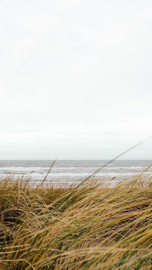 太原seo推广截图1