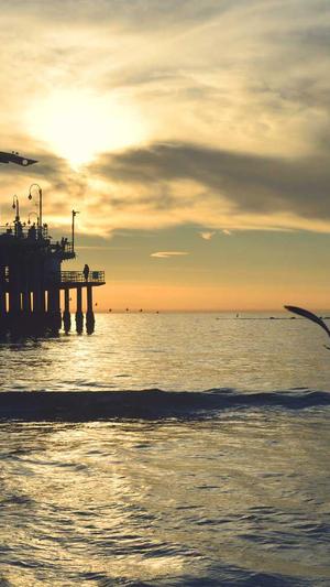 百度蜘蛛池搭建图片截图3