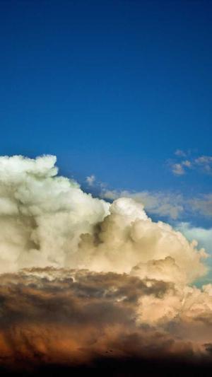 泛目录关键词截图4