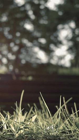 seo收录工具关键词截图5