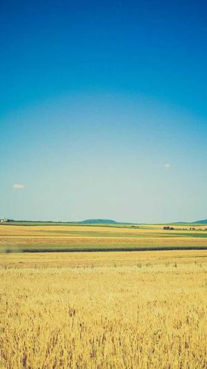 宝鸡seo培训截图4