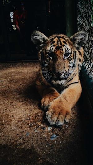 网站建设多少钱截图3