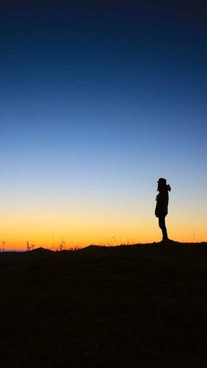 seo查询工具源码截图3