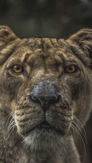 百度seo关键词优化截图2