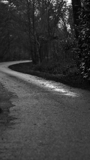 蜘蛛池对新站有用吗截图4