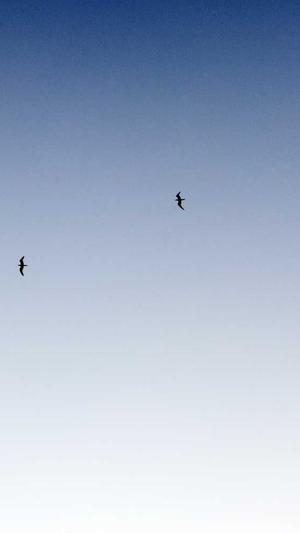 搜狗蜘蛛池提供商截图3