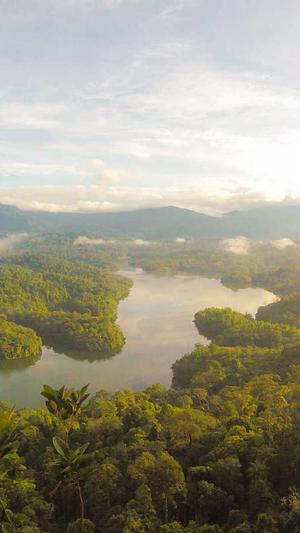 蜘蛛池做seo排名靠谱吗截图3