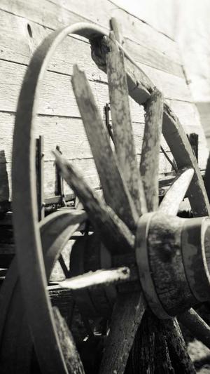 蜘蛛池租用托管截图2