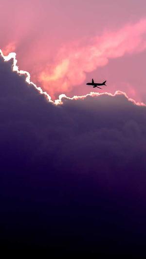 网站建设公司上海做网站公司截图2