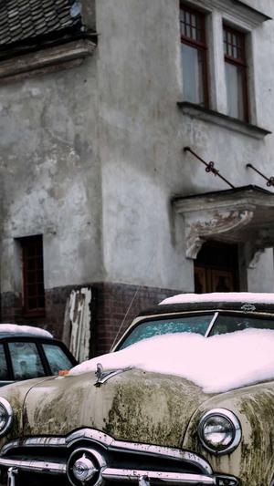 小旋风万能蜘蛛池出租截图1