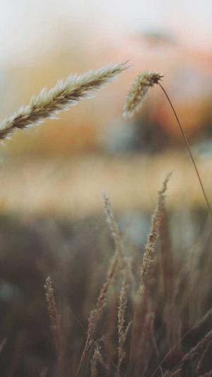 免费网站建设截图2