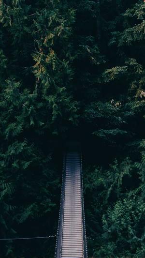 seo排名工具截图1