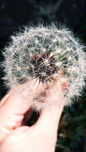 网站排名优化建设截图1