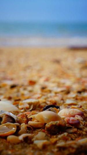 蜘蛛池的蜘蛛怎么用截图1