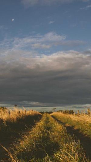 蜘蛛池的主要用处有截图3