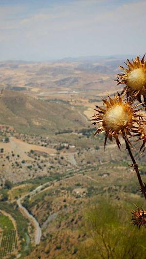 重庆seo排名电话截图4