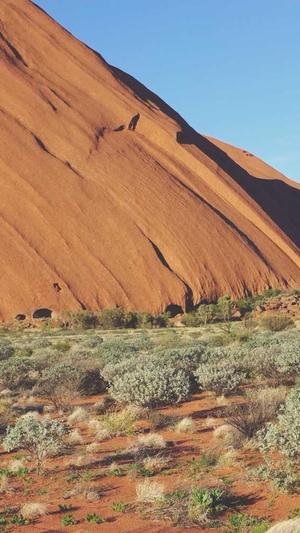 百度seo关键词优化截图3