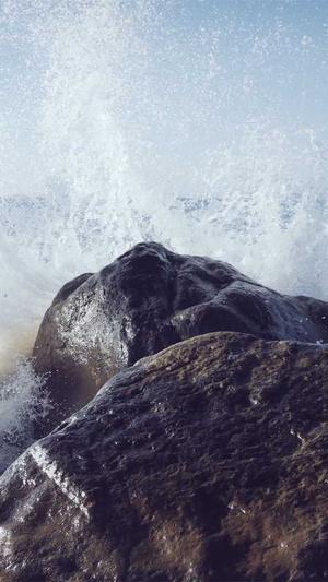 蜘蛛池软件哪个好截图2