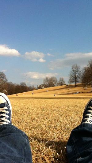 seo排名优化工具推荐截图2