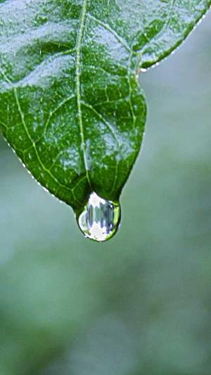 蜘蛛池怎么外推截图5