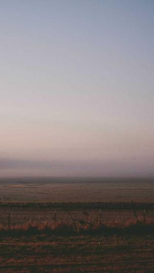 seo快速优化截图1