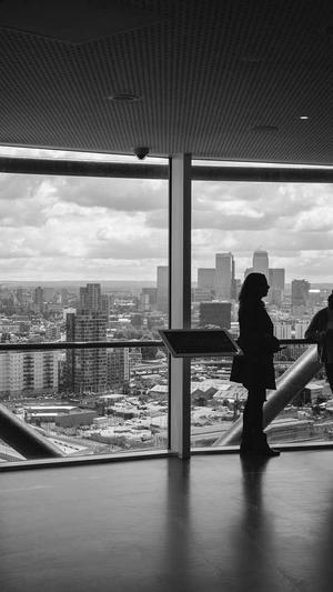 SEO快速排名工具截图3