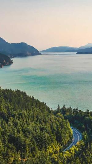 google seo工具截图3