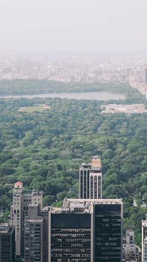 seo优化必备工具截图5