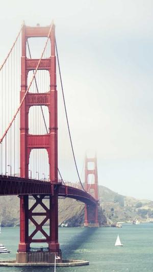 seo站长工具截图2