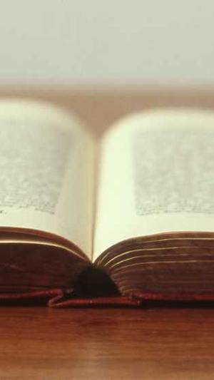 长春网站seo截图2