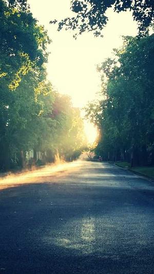 公司seo优化截图2