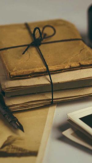 蜘蛛池 程序截图1